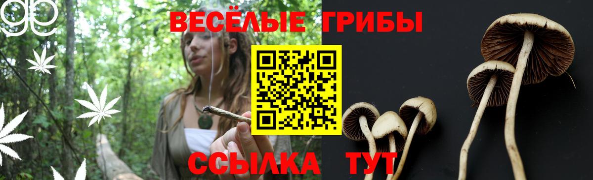 Галлюциногенные грибы Magic Shrooms  Вход с VPN  Псилоцибиновые грибы прущие грибы  Ипатово 